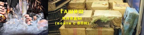 прущие грибы Балахна