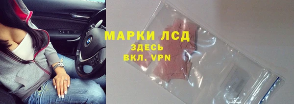 индика Балабаново
