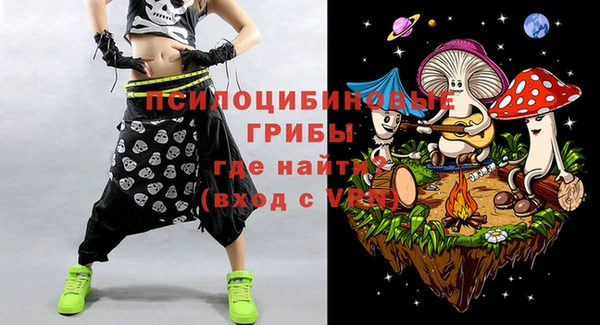 прущие грибы Балахна
