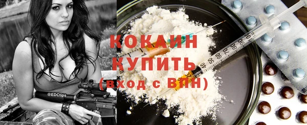 прущие грибы Балахна