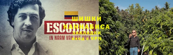 индика Балабаново
