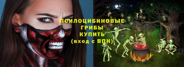 прущие грибы Балахна