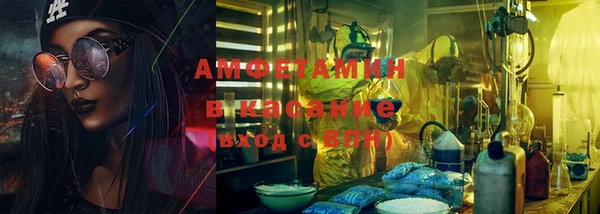прущие грибы Балахна