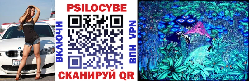Купить закладки  Куртамыш  Псилоцибиновые грибы MAGIC MUSHROOMS 